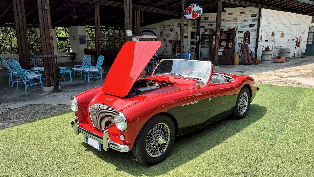 Austin-Healey 100 BN1 – 1954 - SUMMER PRICE