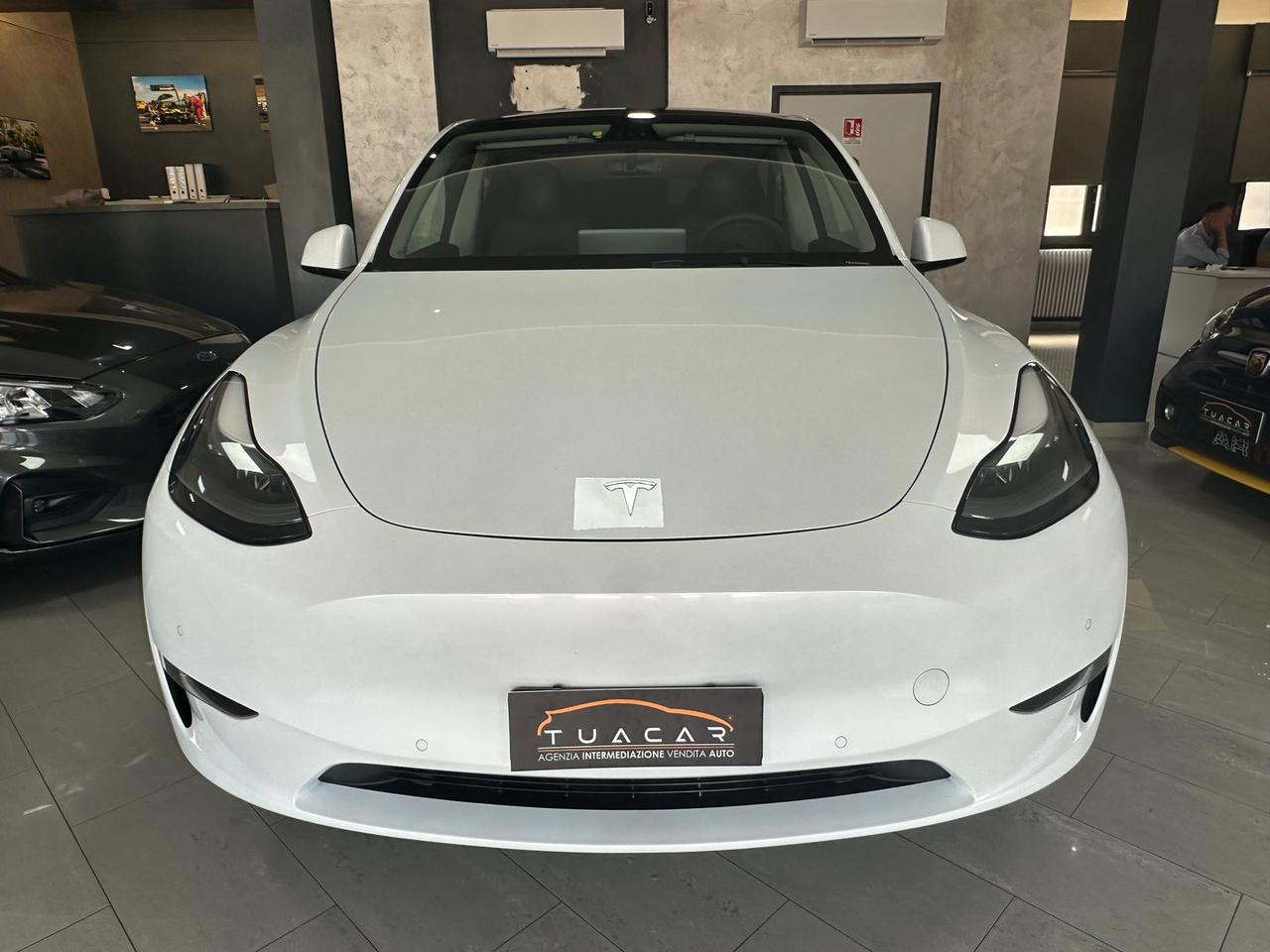 Tesla Model Y Long Range Dual Motor AWD #6076