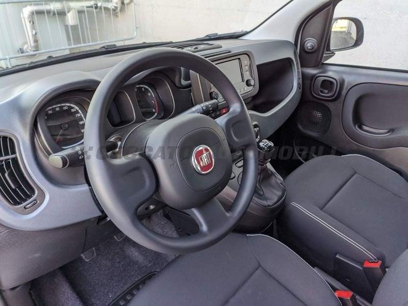 FIAT Panda My23 1.0 70cv Hybrid Panda