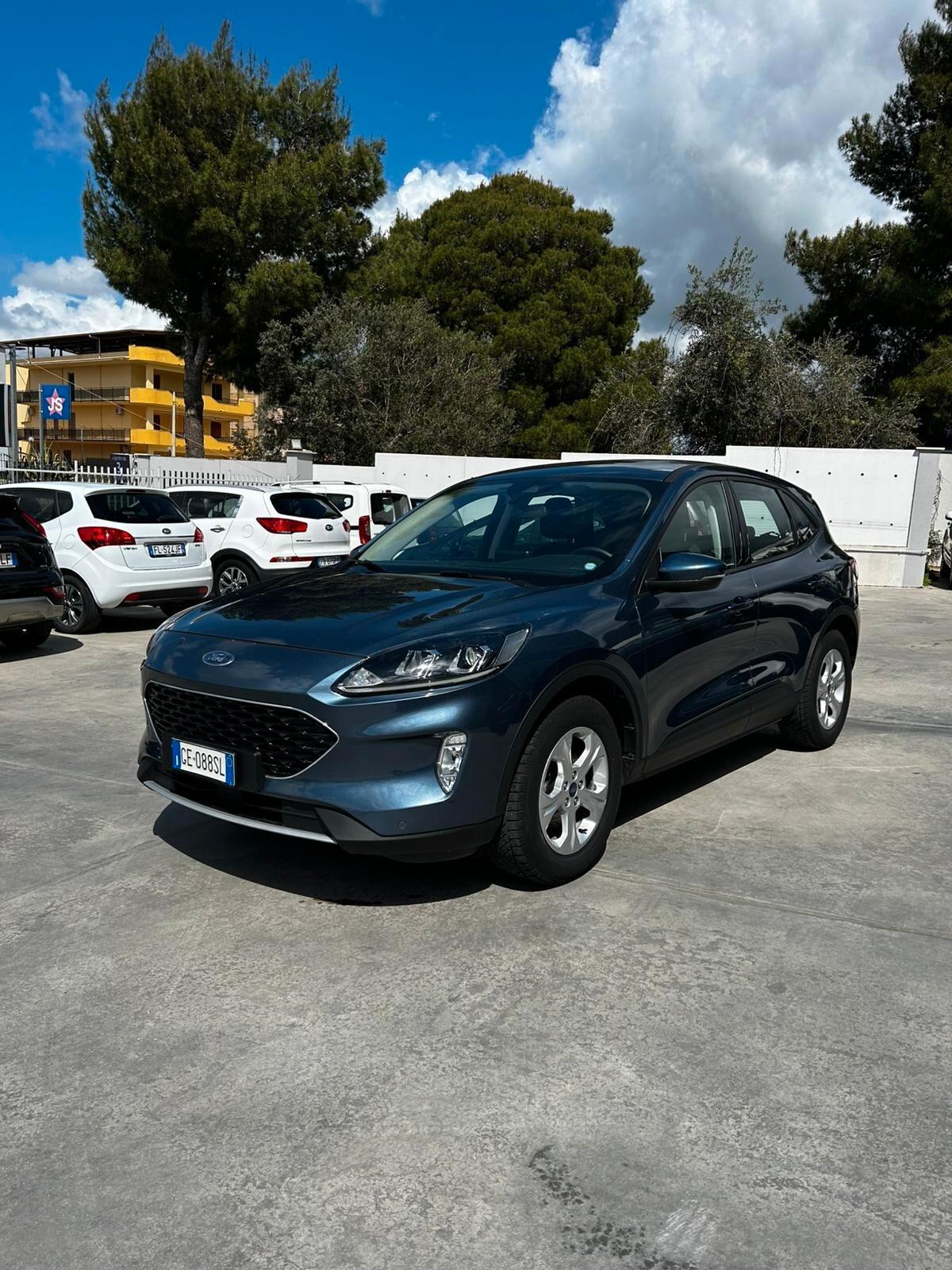 Ford Kuga 1.5 EcoBlue 120 CV 2WD Titanium