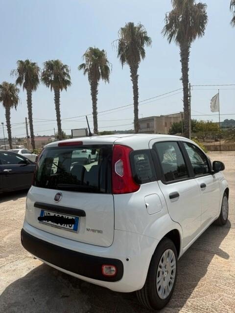 Fiat Panda Pandina 1.0 FireFly 65 CV Hybrid Icon