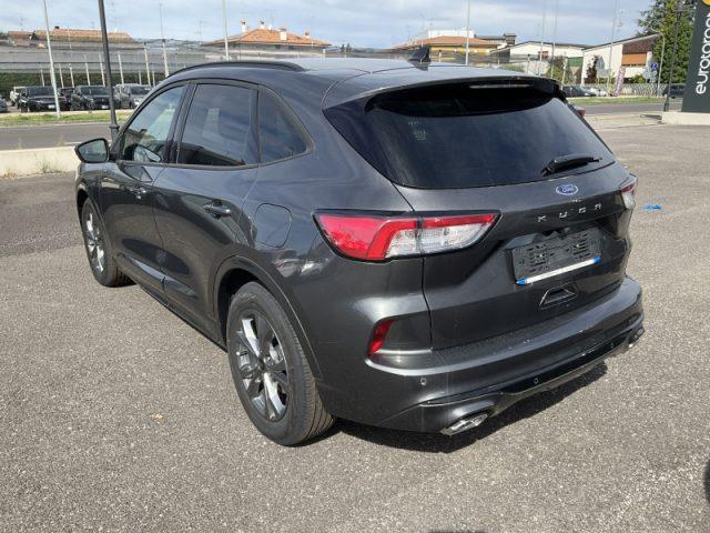 FORD Kuga 2.0 EcoBlue 120 CV aut. 2WD ST-Line