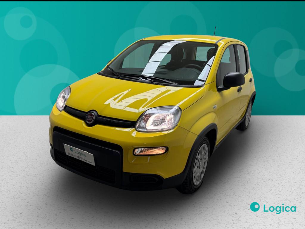 FIAT Panda III 2024 - Panda 1.0 firefly hybrid s&s 70cv