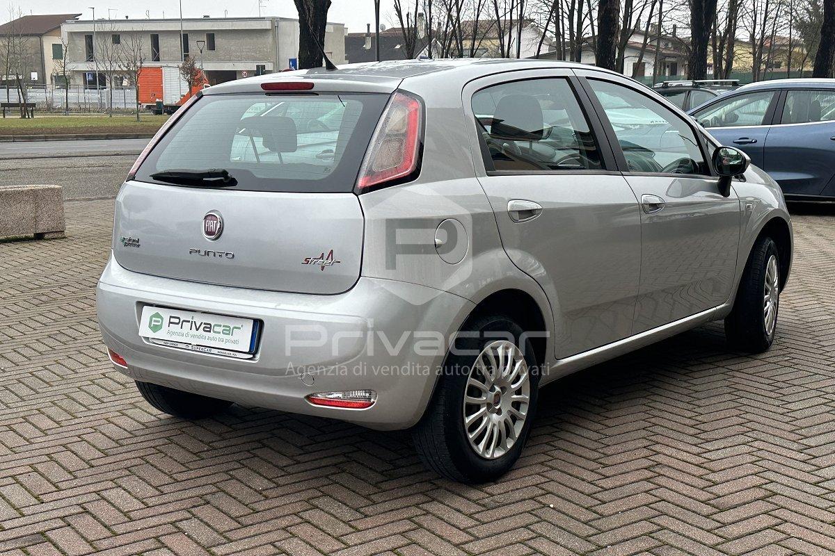 FIAT Punto 1.4 8V 5 porte Natural Power Street
