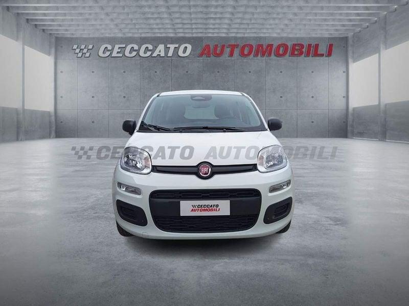 FIAT Panda Panda 1.0 firefly hybrid s&s 70cv