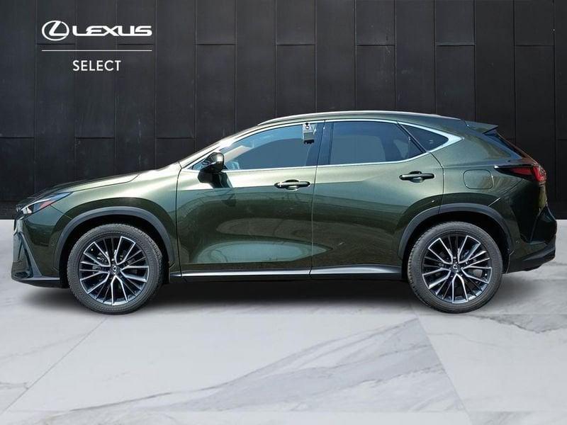 Lexus NX Hybrid Luxury 4WD MY22