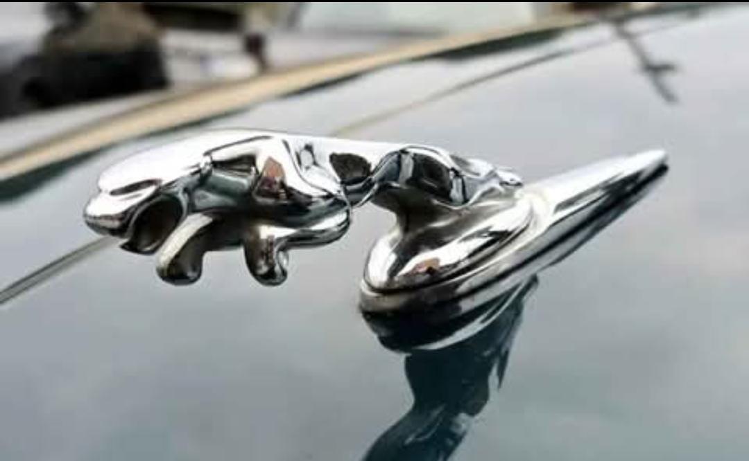 Jaguar X-Type 2.5 V6 24V cat Sport