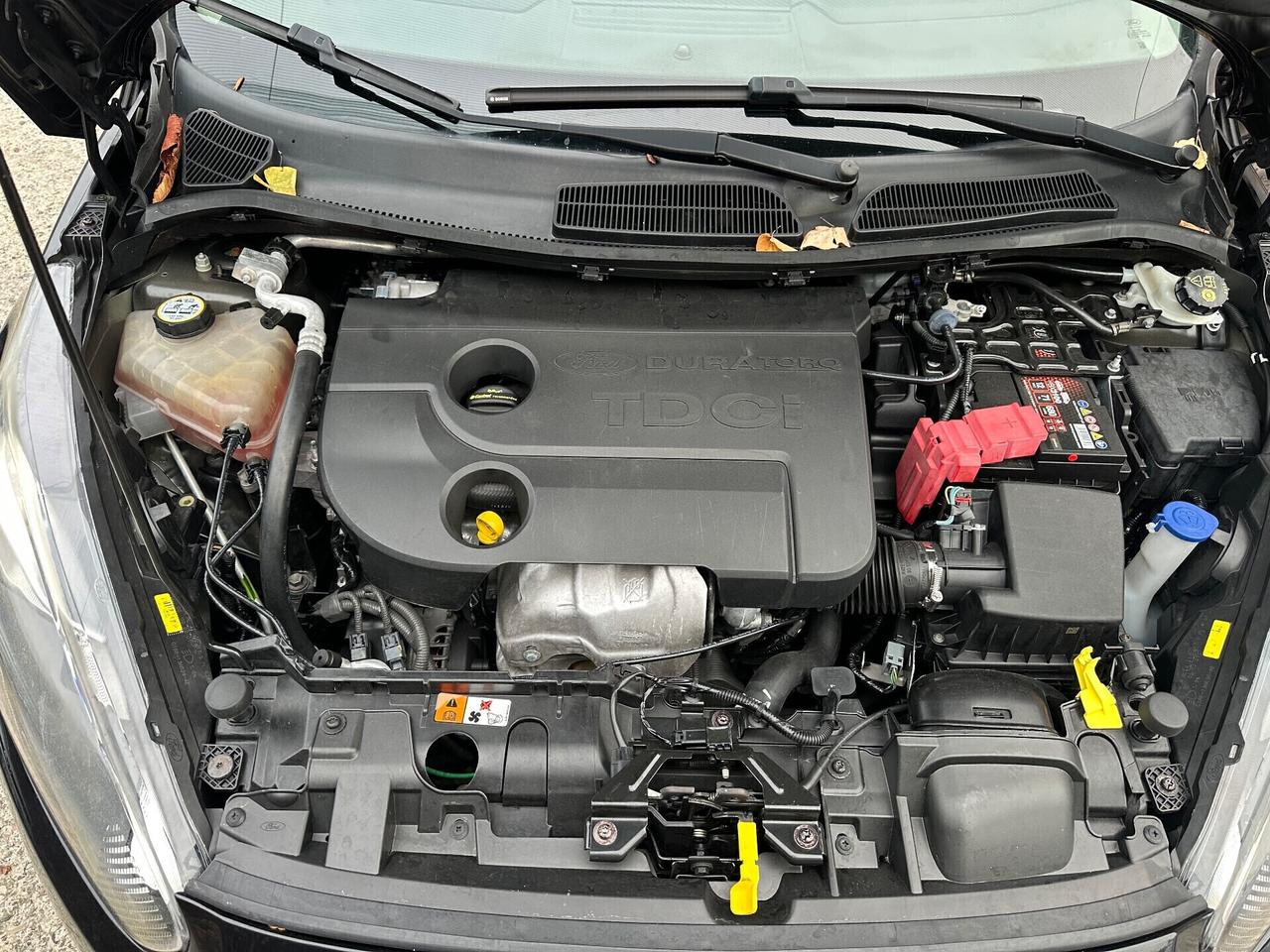 Ford Fiesta 1.5 TDCi 75CV 5 porte Titanium