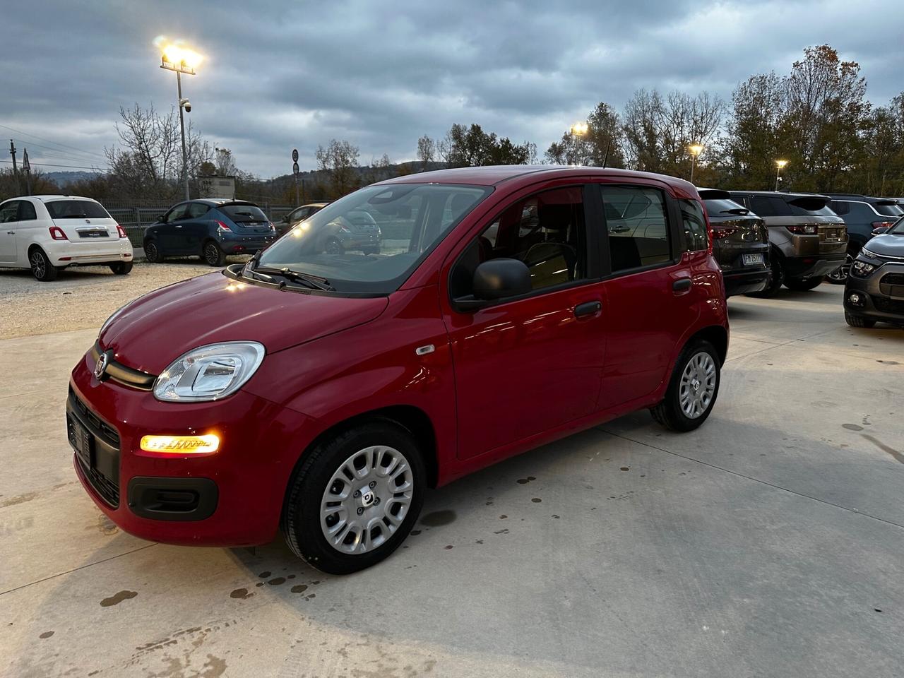 Fiat Panda 1.0 Hybrid Pandina KM0