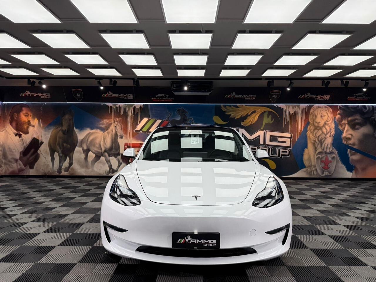 Tesla Model 3 Long Range AWD Performance (522)