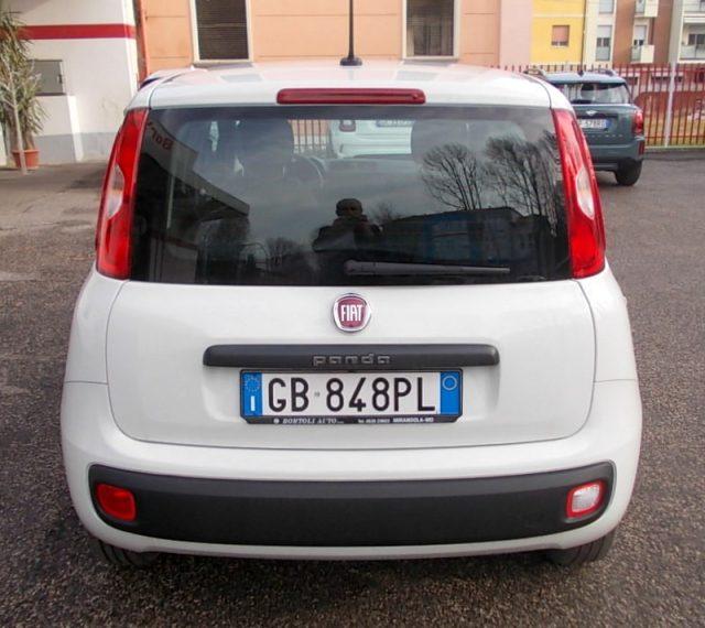 FIAT Panda 1.2 35.000 KM EASY IDONEA PER NEOPATENTATI