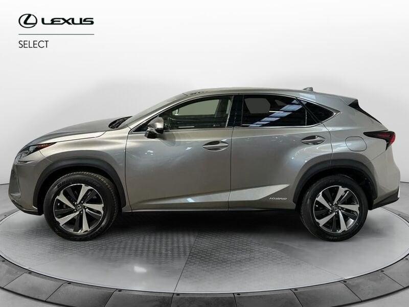 Lexus NX Hybrid 4WD Luxury