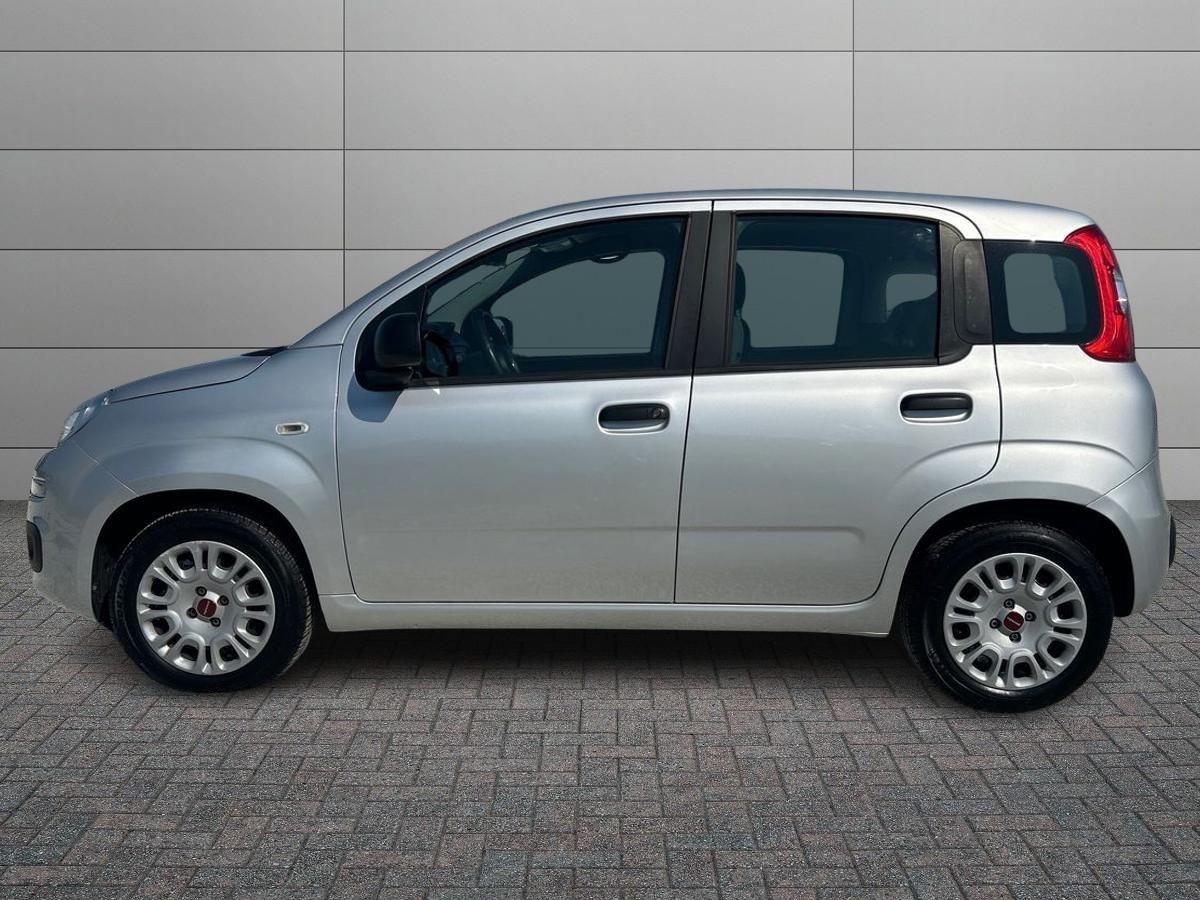 FIAT Panda 3ª serie - Panda 1.2 Lounge
