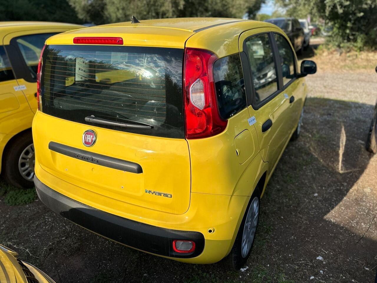 FIAT Pandina III 2024 - Pandina 1.0 firefly hybrid Icon s&s 70cv