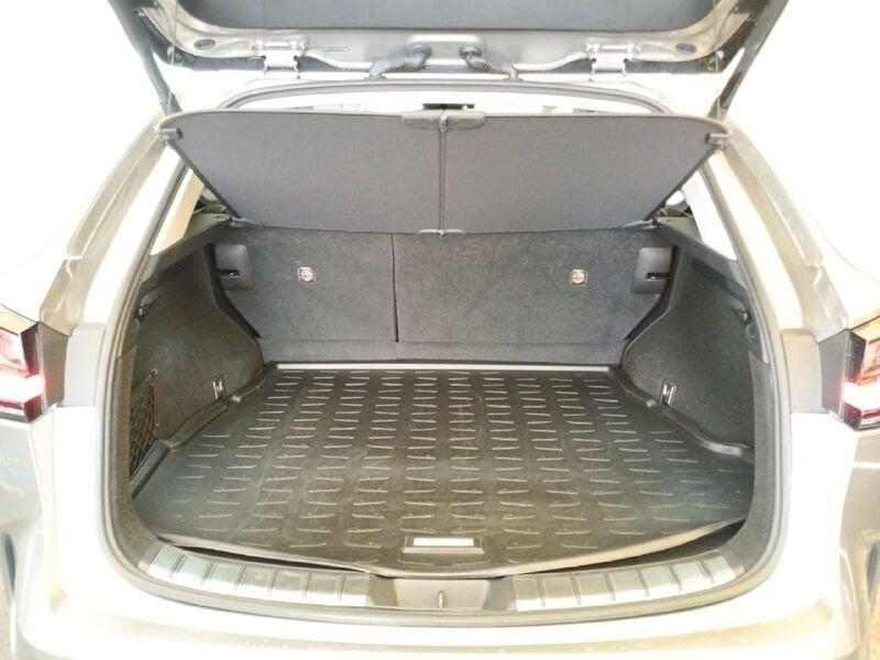 Lexus NX NX Hybrid 4WD Premium