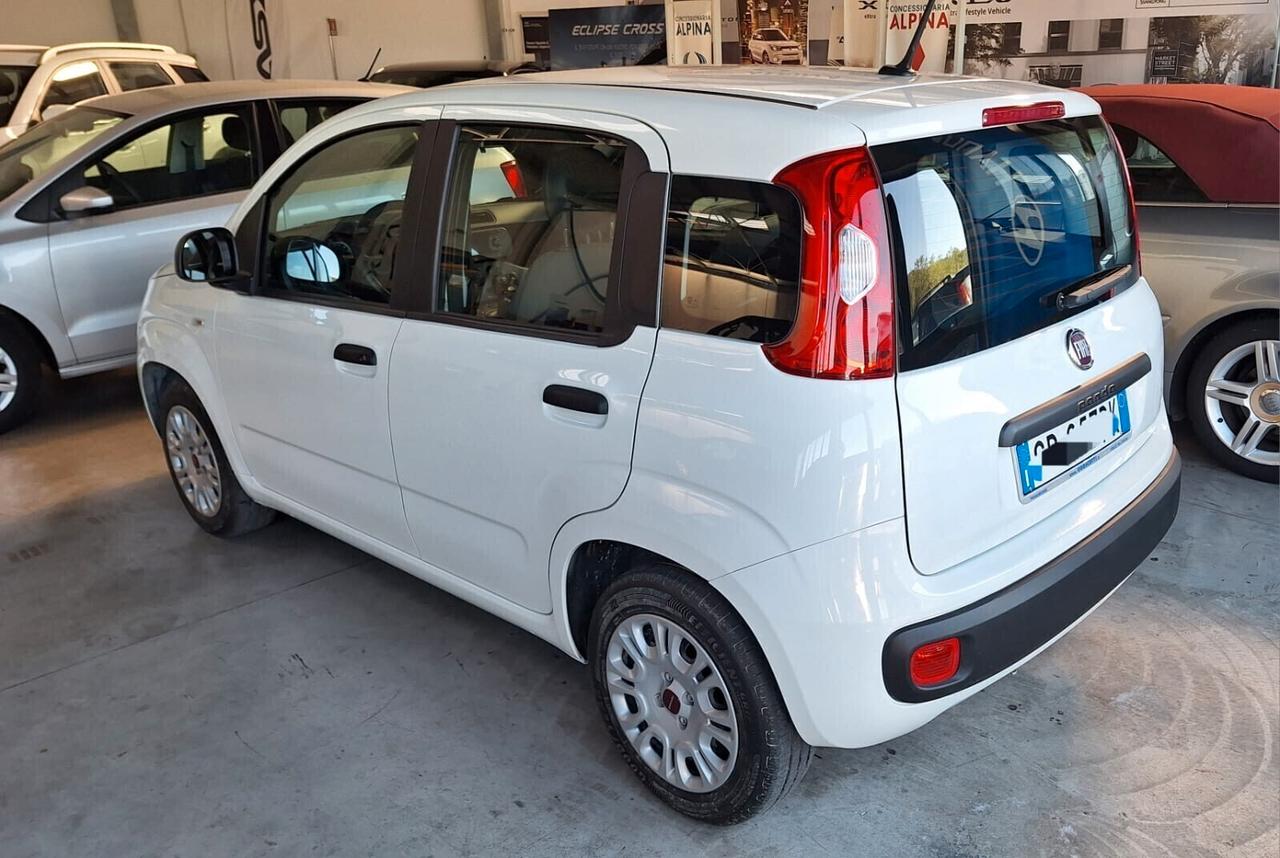 Fiat Panda 1.2 NEOPATENTI SOLO 21 MILA KM