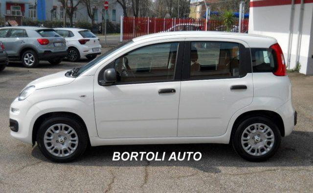 FIAT Panda KM ZERO 1.0 HYBRID VARI MODELLI DISPONIBILI