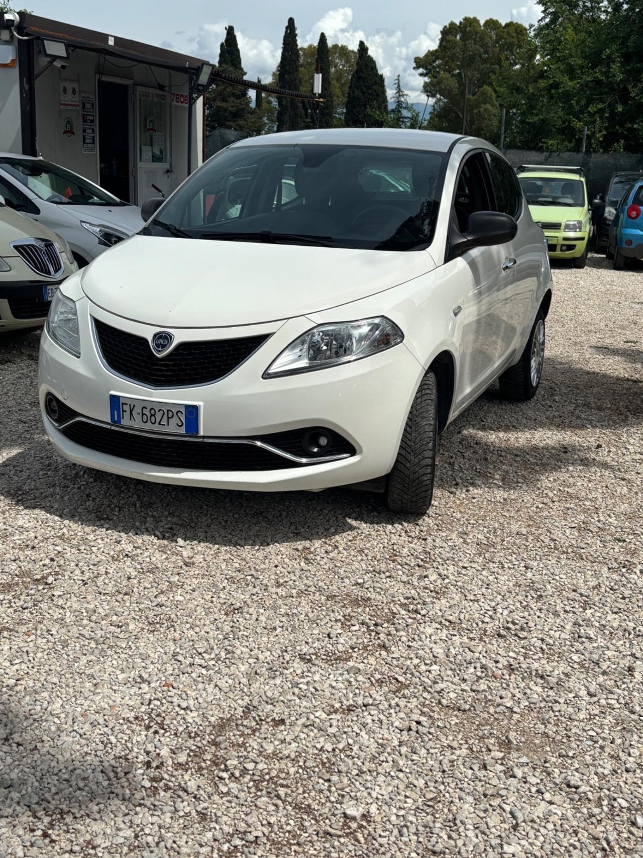 Lancia Ypsilon 0.9 TwinAir 85 CV 5 porte Metano Ecochic Platinum