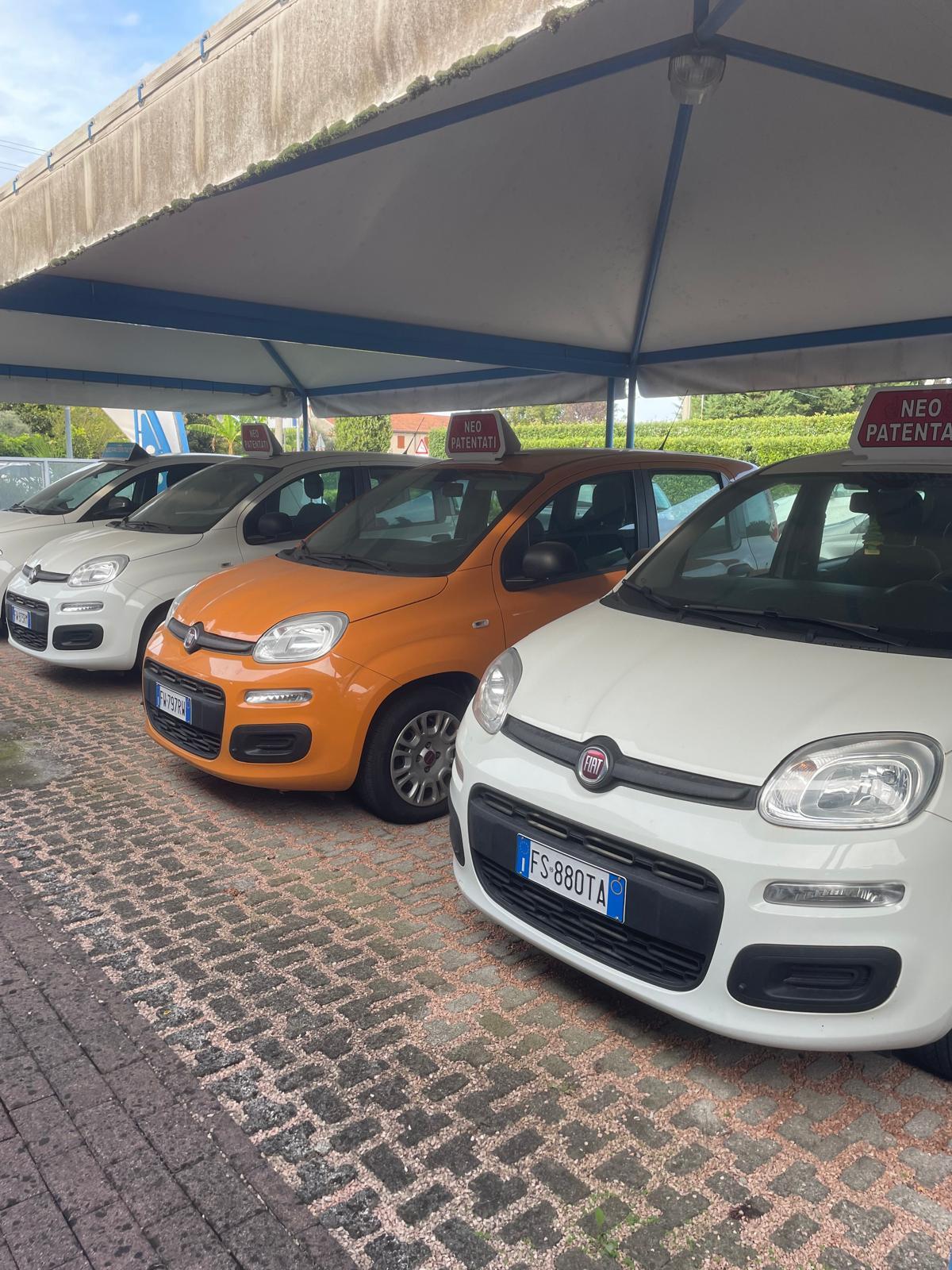 Fiat Panda 1.2 Easy anche per neopatentato