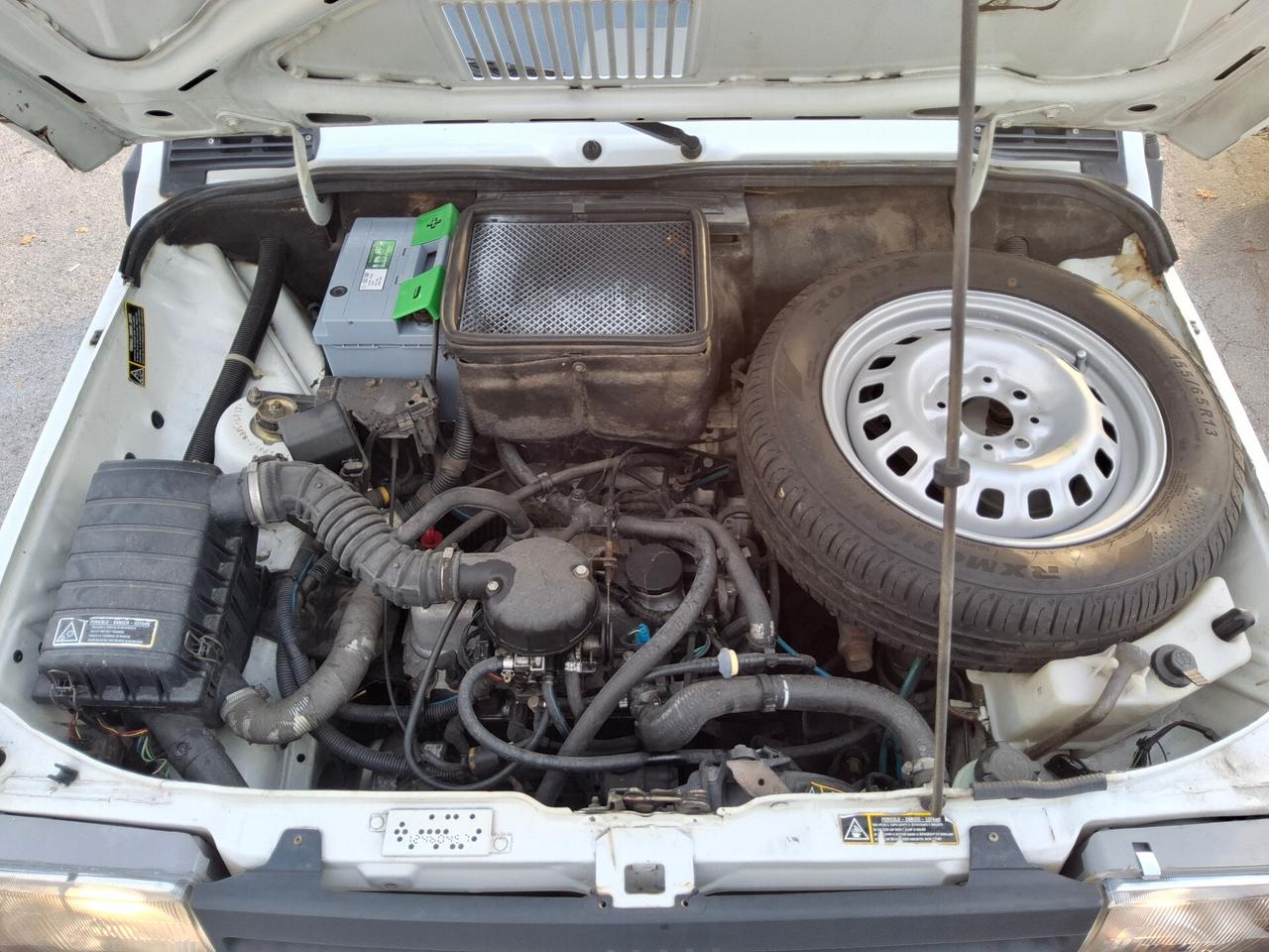 Fiat Panda 900 i.e. cat Young