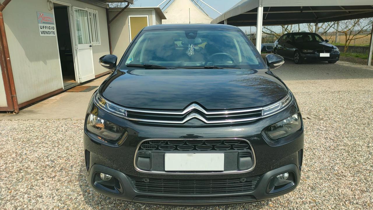 Citroen C4 Cactus 1.6 bluehdi Shine s&s 100cv