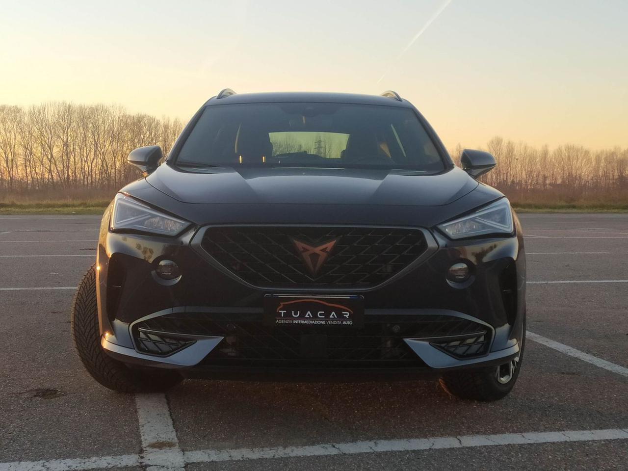 Cupra Formentor Tribe Edition 2.0 TDI #8281