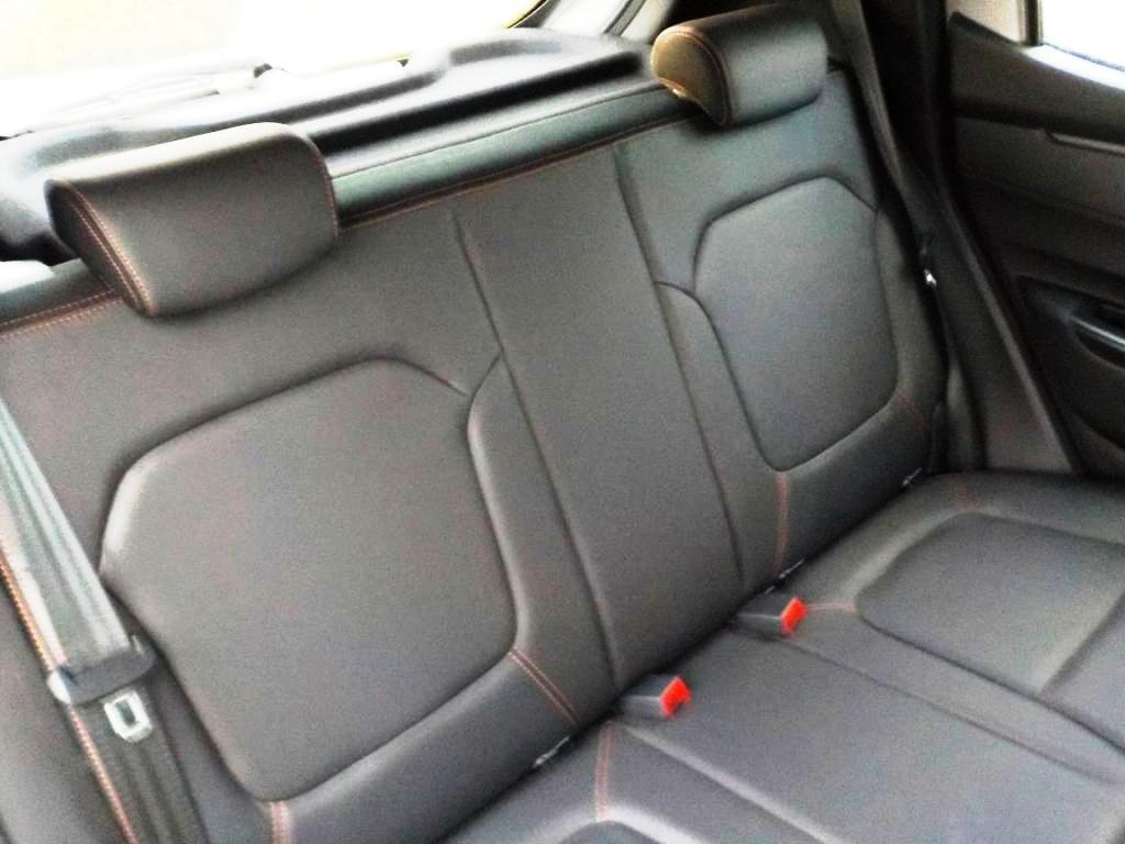 Dacia Spring Extreme Electric 65