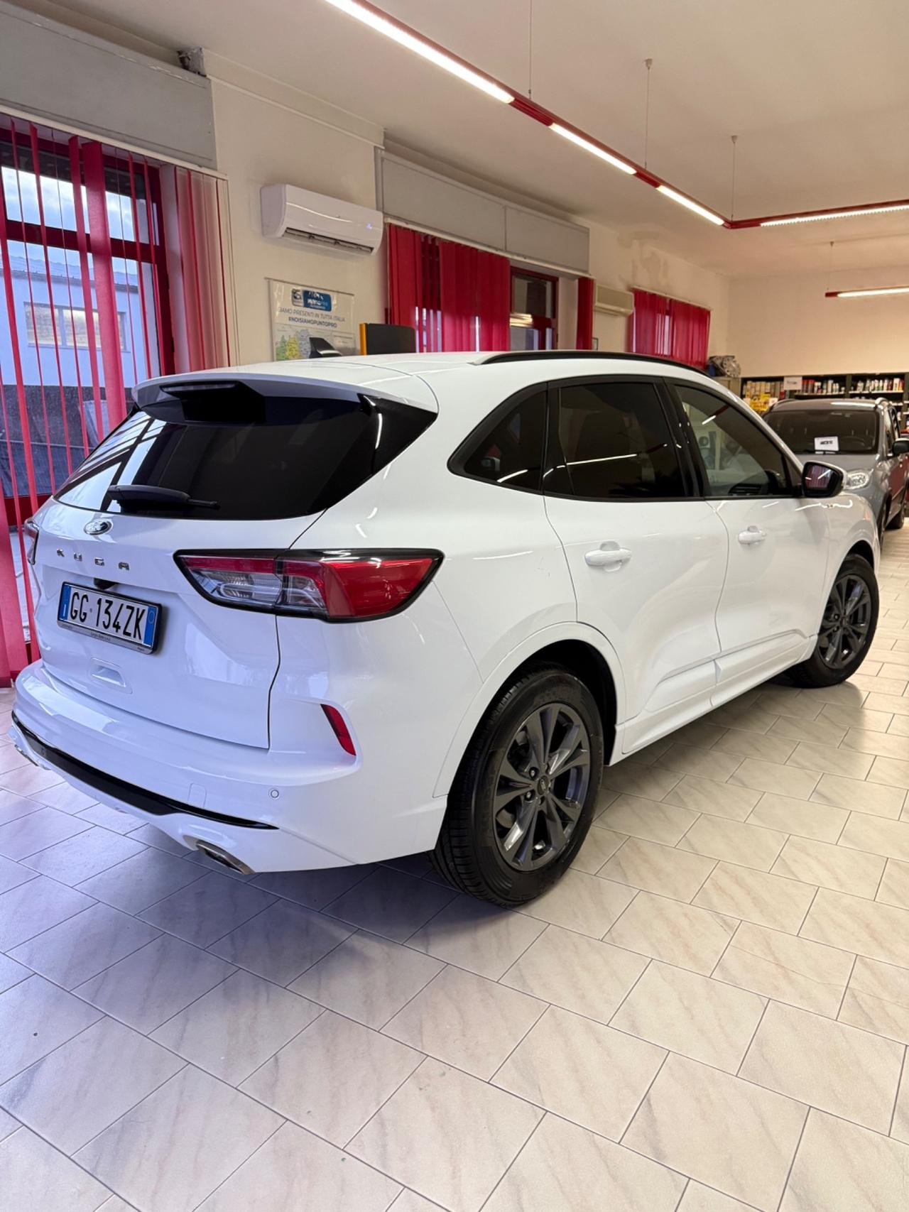 Ford Kuga 1.5 EcoBlue 120 CV aut. 2WD ST-Line X