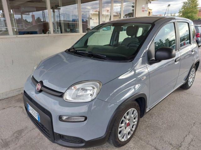 FIAT Panda 1.0 FireFly S&S Hybrid Uniprò km 77000 Fatturab.