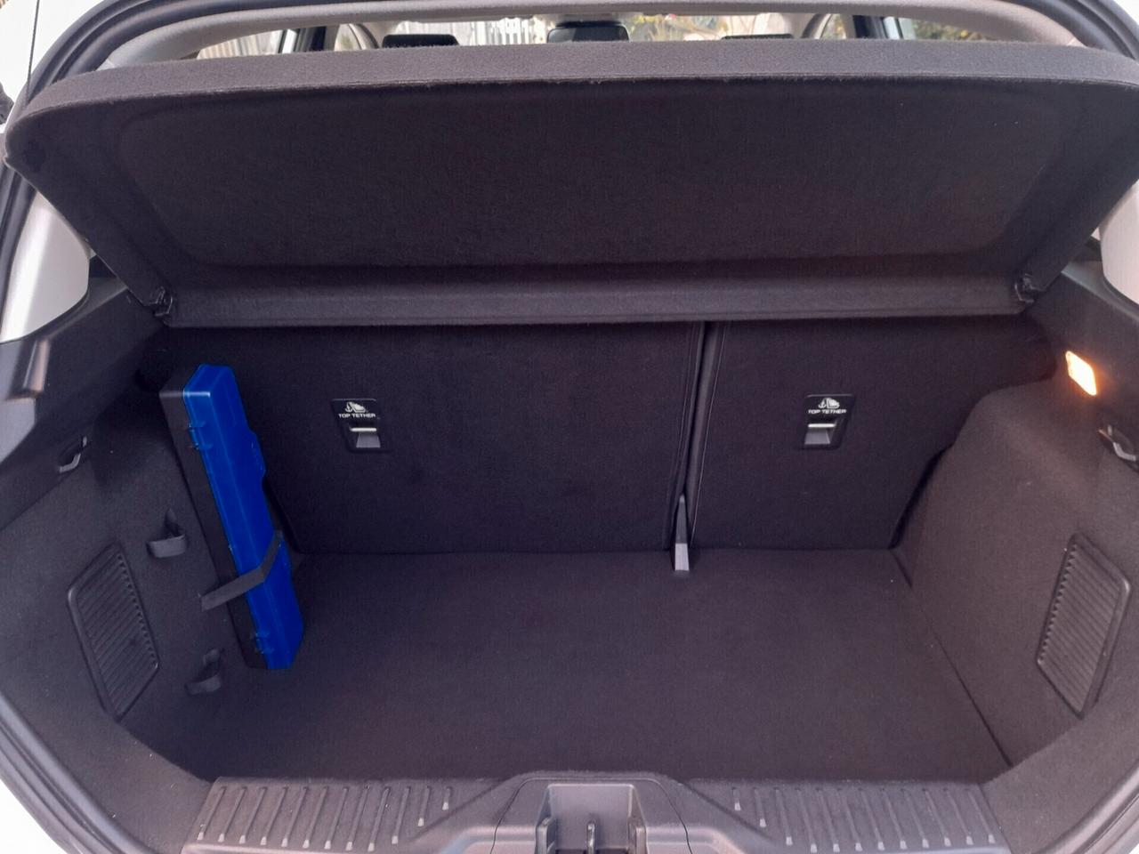 Ford Fiesta 1.5 EcoBlue 5 porte Connect Anno 2020