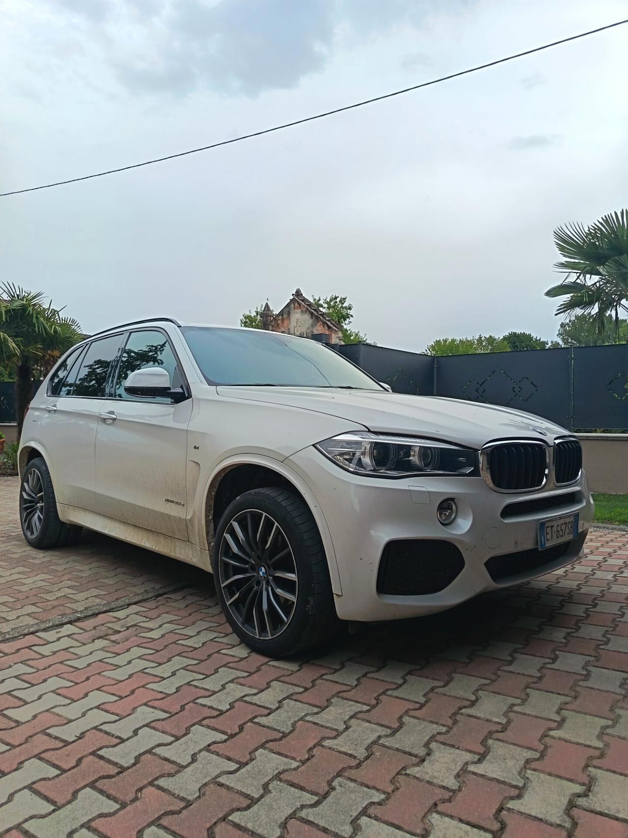 Bmw X5 sDrive25d Business