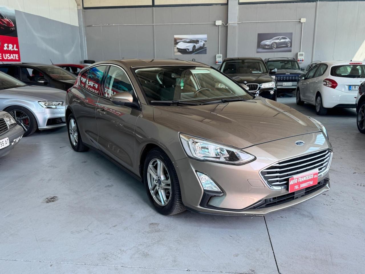 Ford Focus 1.5 EcoBlue 120 CV 5p. Business