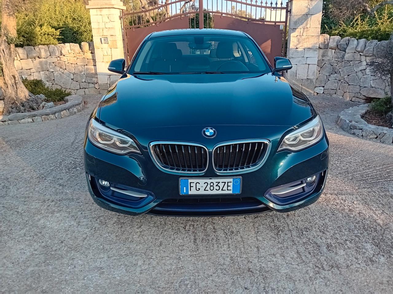 Bmw 218 218d Coupé Sport