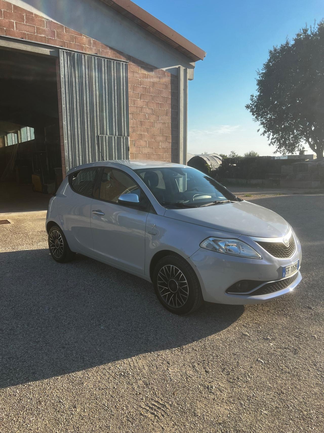Lancia Ypsilon 1.2 69 CV 5 porte Platinum