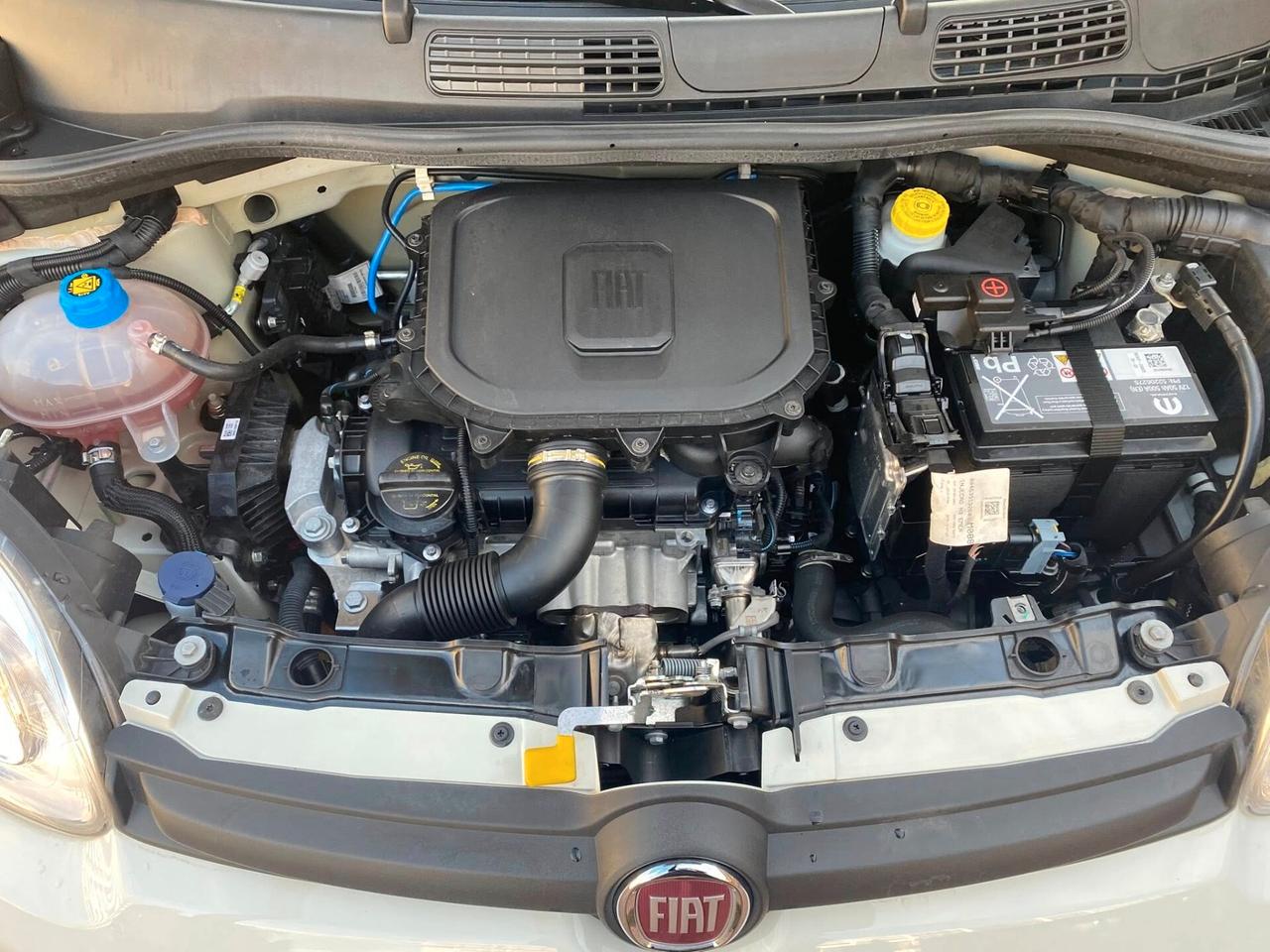 FIAT PANDA HYBRID CITY LIFE NEOPATENTATI