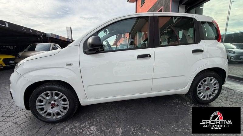 FIAT Panda RATA MENSILE 123,00 UNIPROPRIETARIO Panda 1.2 Easy