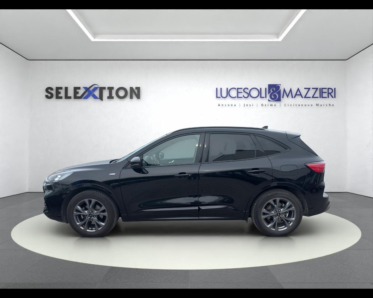 FORD Kuga 3ª serie - Kuga 1.5 EcoBlue 120 CV 2WD ST-Line