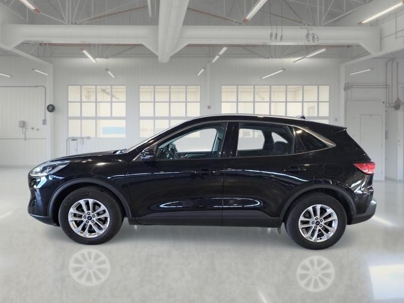 FORD KUGA 1.5 EcoBlue 120CV 2WD Titanium Business Auto