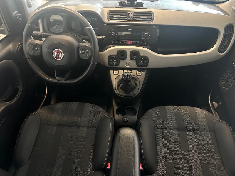 FIAT Panda 3ª serie Panda 1.2 City Cross
