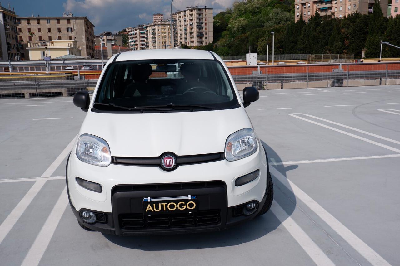 Fiat Panda 1.0 GSE S&S Hybrid Street Van 4 posti
