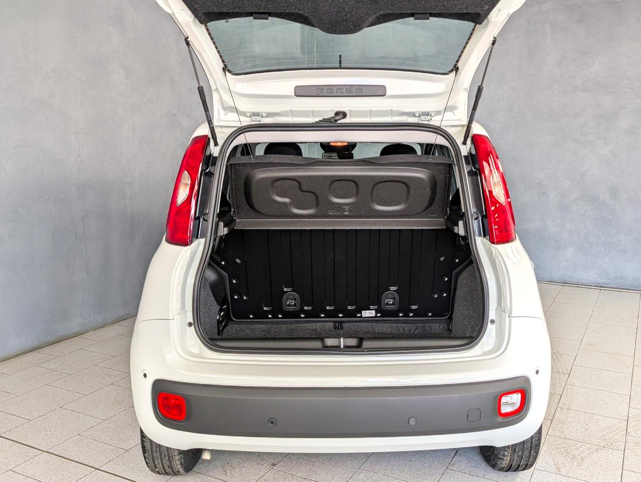 Fiat Panda 1.0 Hybrid 70cv Icon