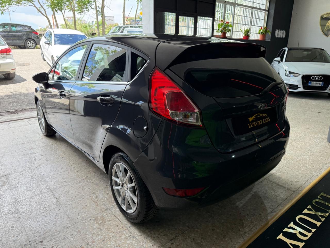 Ford Fiesta 1.5 TDCi 75CV 5 porte Titanium 2015
