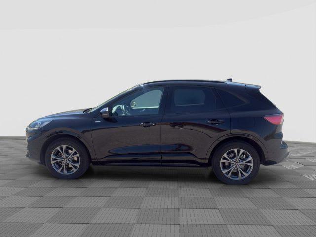 FORD Kuga Kuga 2.0 EcoBlue 120CV aut. AWD ST-Line X