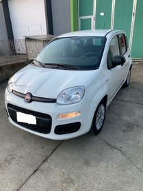 Fiat Panda 1.0 FireFly S&S Hybrid Easy