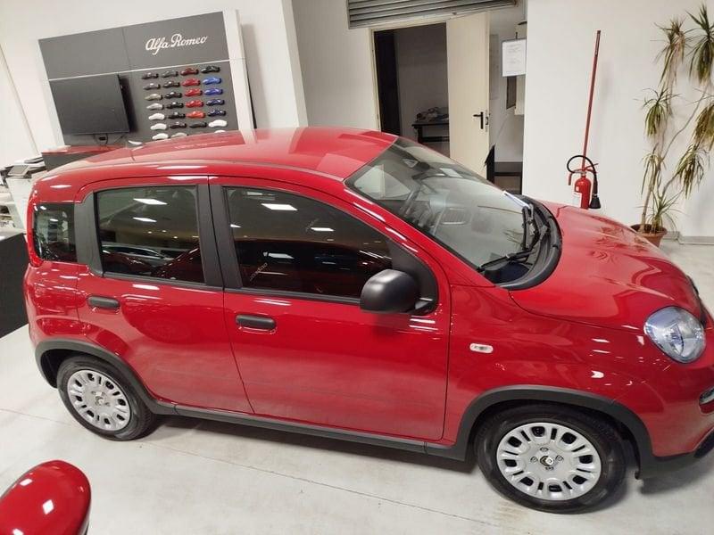 FIAT Panda 1.0 FireFly S&S Hybrid Pandina