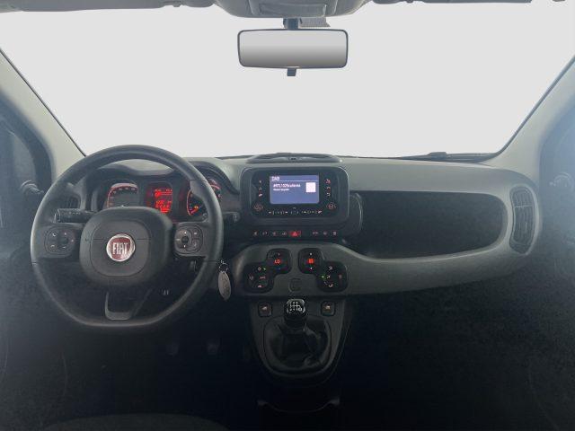 FIAT Panda Panda 1.0 FireFly Hybrid City Life