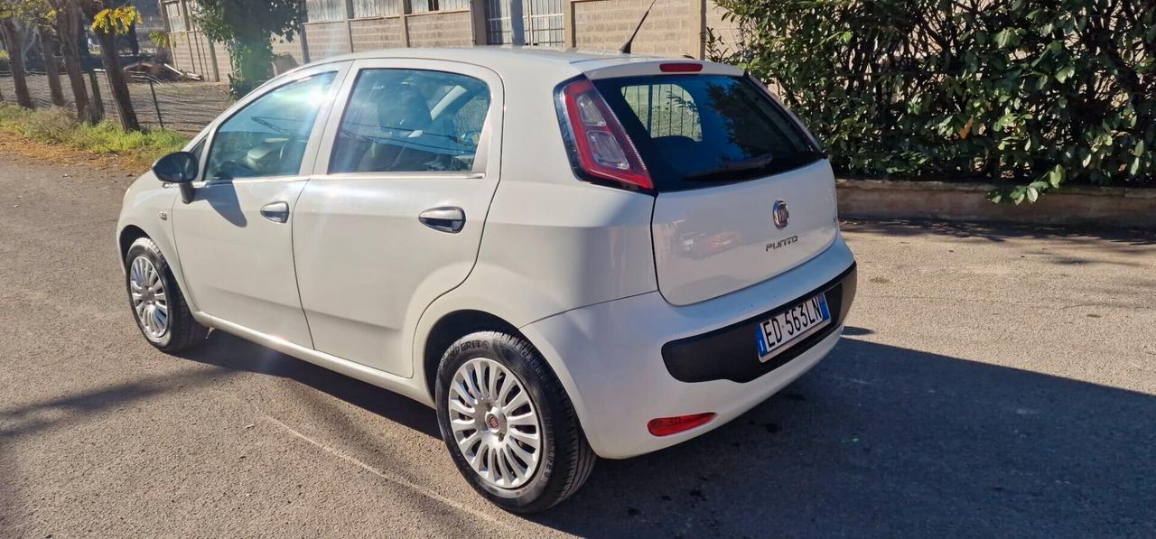 Fiat Punto Evo Punto Evo 1.2 3 porte Active