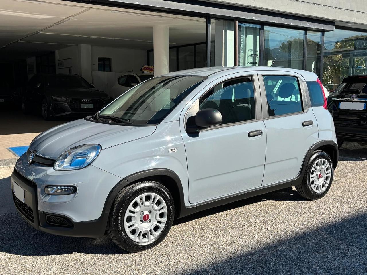 Fiat Panda 1.0 - 70 cv Hybrid City Life