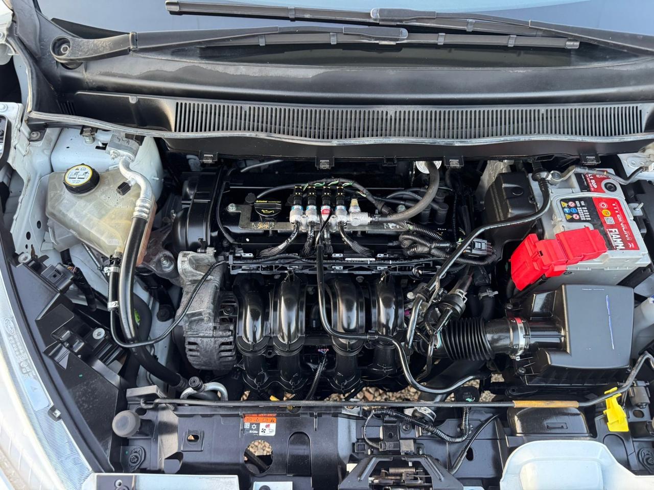 Ford B-Max 1.4 90 CV GPL Business Titanium