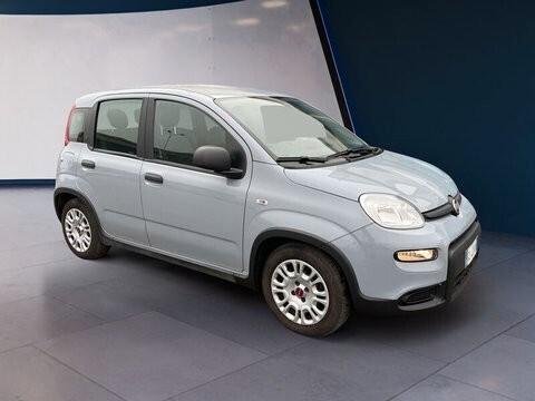 Fiat Panda Hybrid FireFly1.0 S&S 70cv